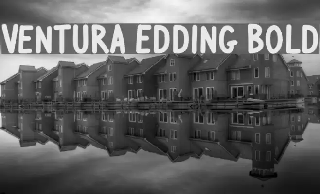Ventura Edding Bold Font examples