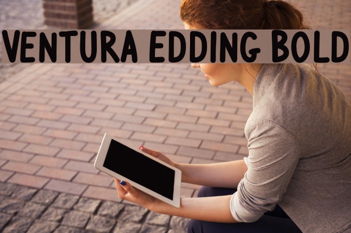 Ventura Edding Bold フォント examples