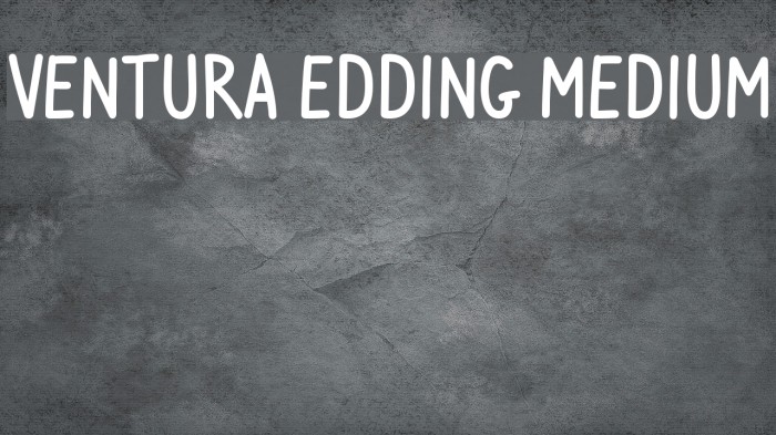 Ventura Edding Medium フォント examples