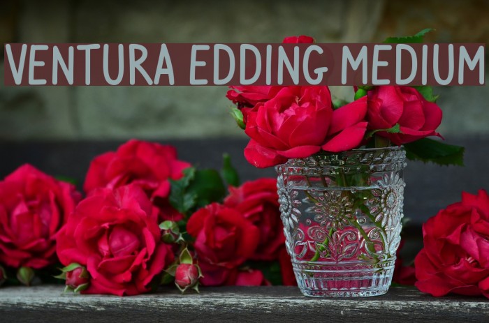 Ventura Edding Medium フォント examples