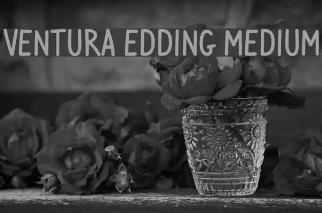 Ventura Edding Medium examples