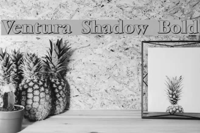 Ventura Shadow Bold Font examples