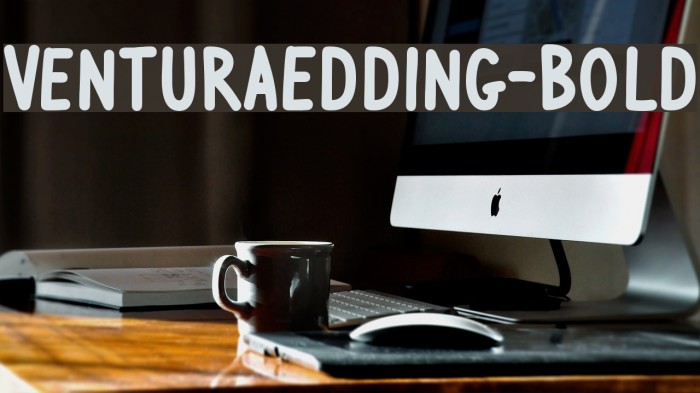 VenturaEdding-Bold Example 1