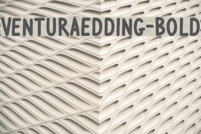 VenturaEdding-Bold Example 3