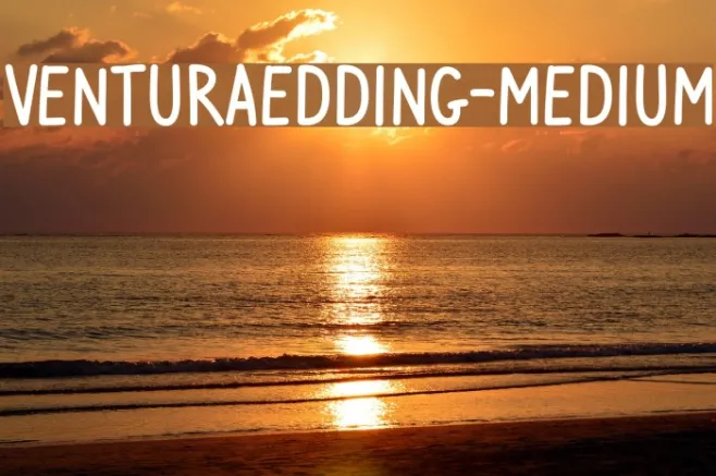 VenturaEdding-Medium Example 3