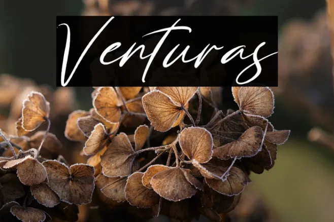 Venturas Example 2