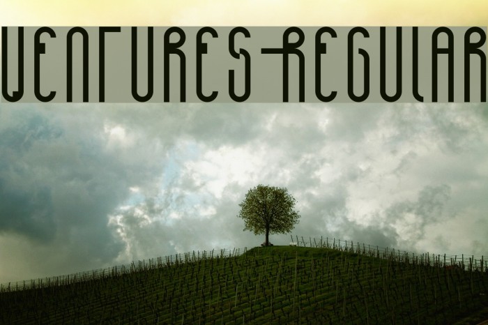 Ventures-Regular Font examples