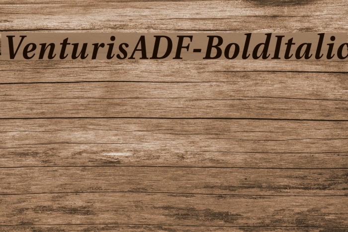 VenturisADF-BoldItalic Font examples
