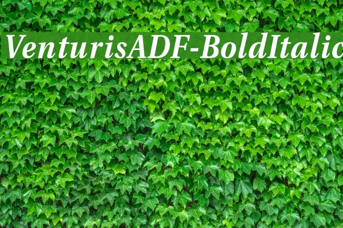 VenturisADF-BoldItalic Font examples