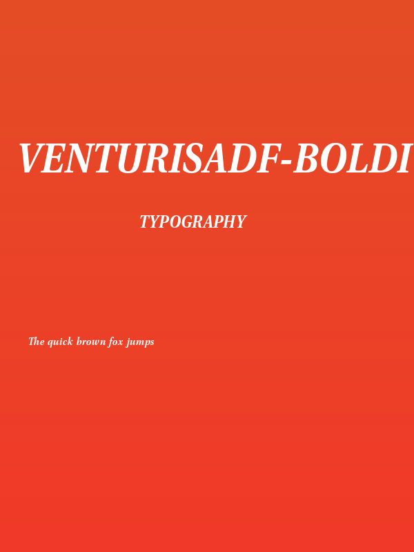 VenturisADF-BoldItalic Poster