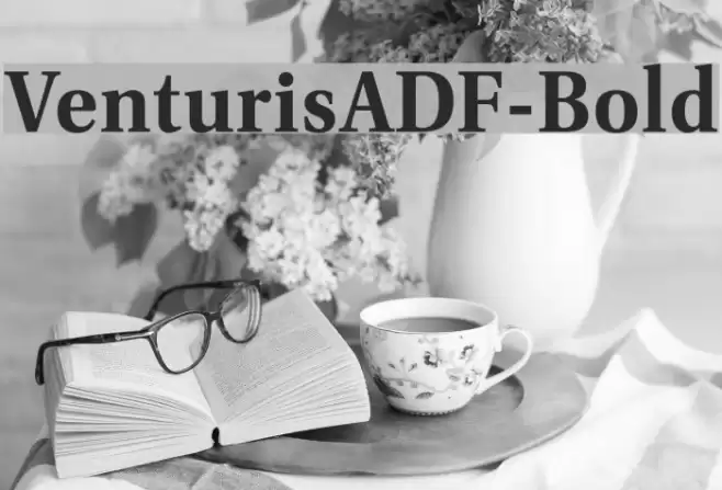 VenturisADF-Bold Font examples