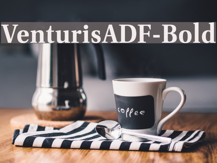 VenturisADF-Bold Font examples