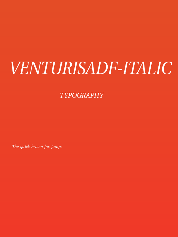 VenturisADF-Italic Poster