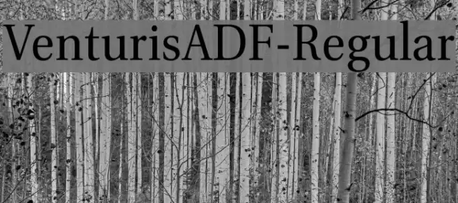 VenturisADF-Regular Font examples