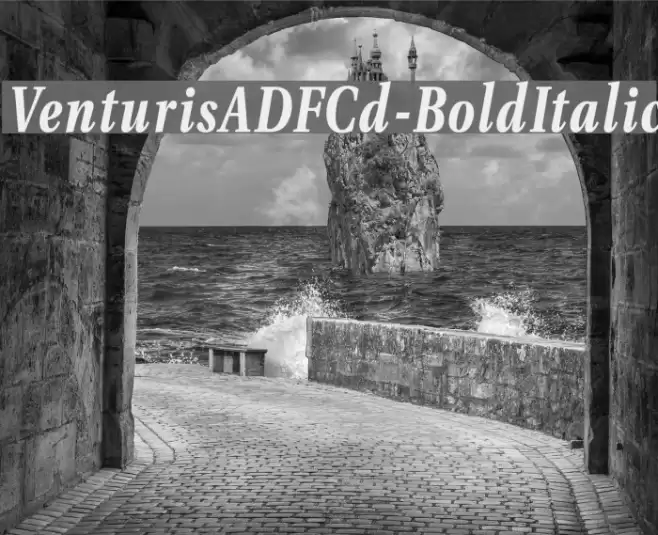 VenturisADFCd-BoldItalic Font examples