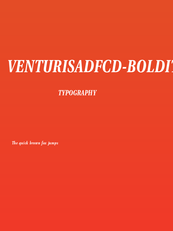 VenturisADFCd-BoldItalic Poster