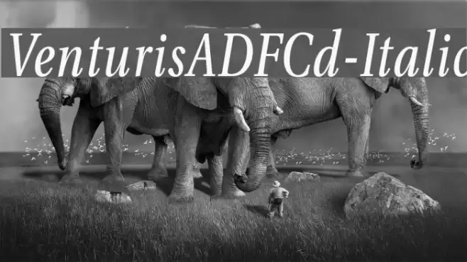 VenturisADFCd-Italic Font examples