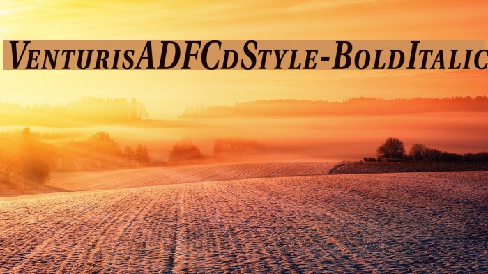 VenturisADFCdStyle-BoldItalic Font examples