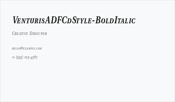 VenturisADFCdStyle-BoldItalic Business Card