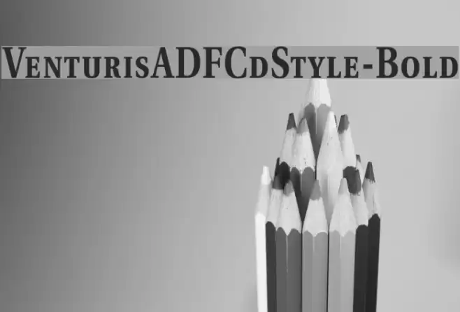 VenturisADFCdStyle-Bold フォント examples