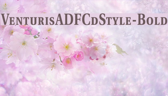 VenturisADFCdStyle-Bold Font examples