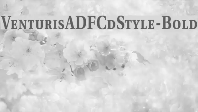 VenturisADFCdStyle-Bold フォント examples