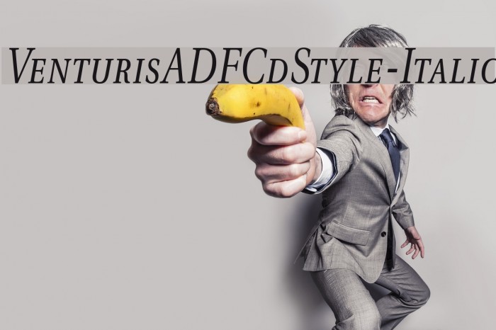 VenturisADFCdStyle-Italic Font examples
