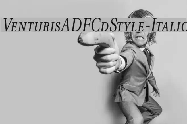 VenturisADFCdStyle-Italic Schriftart examples