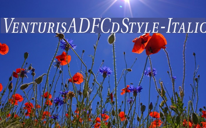 VenturisADFCdStyle-Italic Font examples