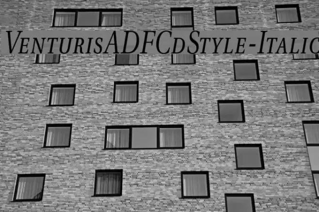 VenturisADFCdStyle-Italic Schriftart examples