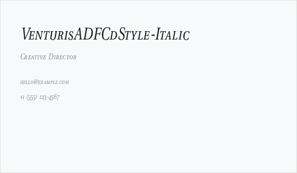 VenturisADFCdStyle-Italic Business Card