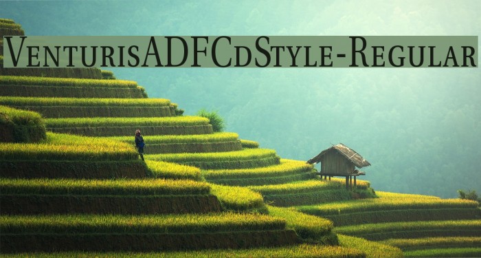 VenturisADFCdStyle-Regular Font examples