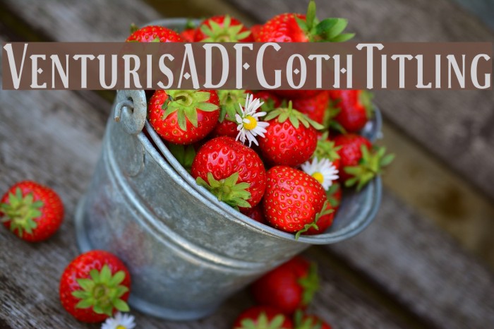 VenturisADFGothTitling Font examples