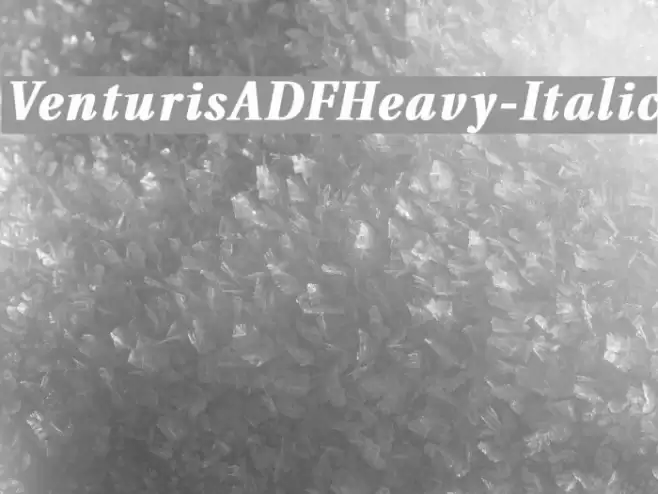 VenturisADFHeavy-Italic خط examples