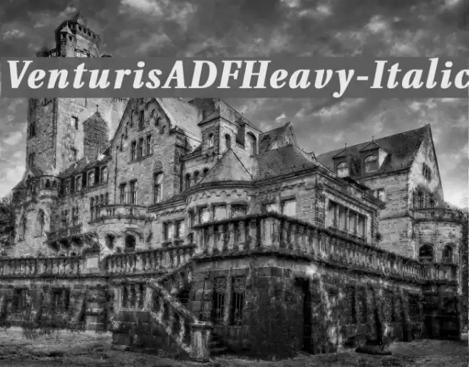 VenturisADFHeavy-Italic خط examples
