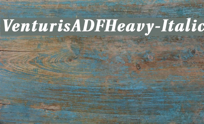 VenturisADFHeavy-Italic Font examples