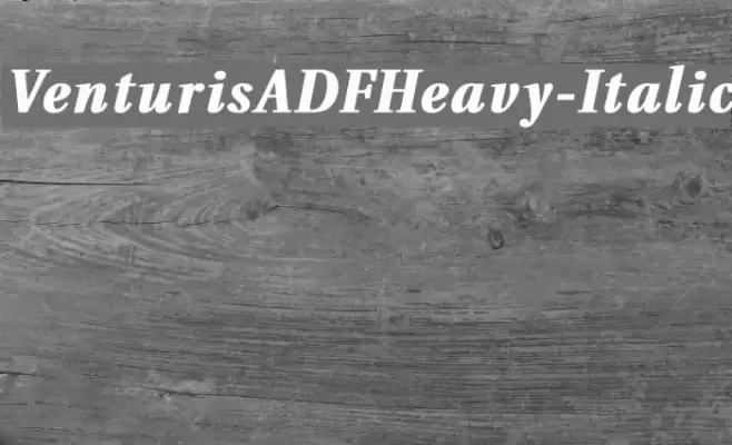 VenturisADFHeavy-Italic خط examples