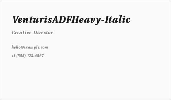 VenturisADFHeavy-Italic Business Card