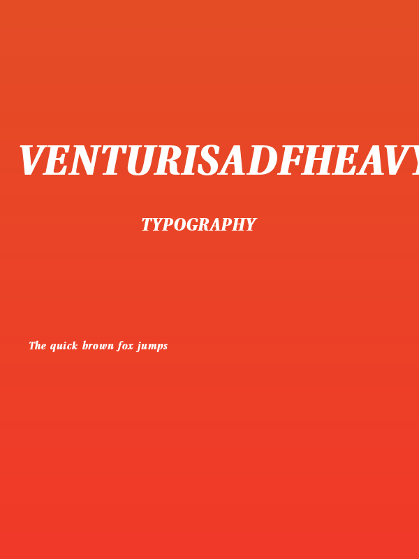 VenturisADFHeavy-Italic Poster
