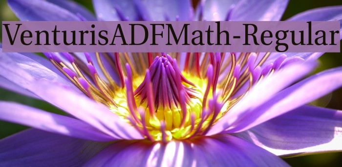 VenturisADFMath-Regular Font examples