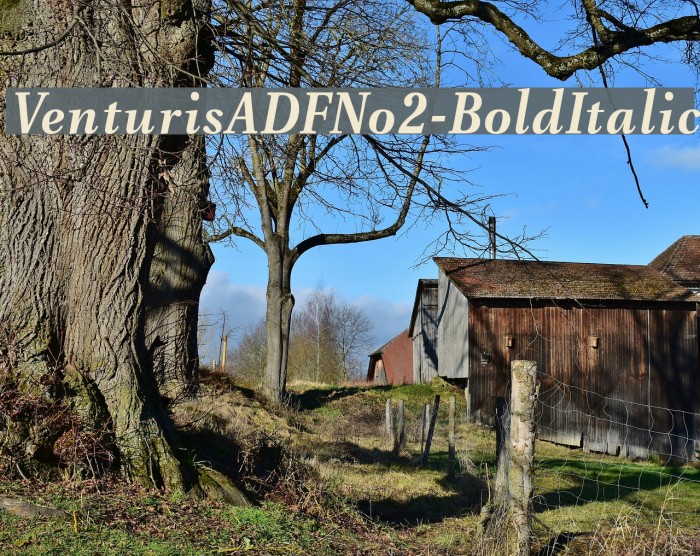 VenturisADFNo2-BoldItalic Font examples