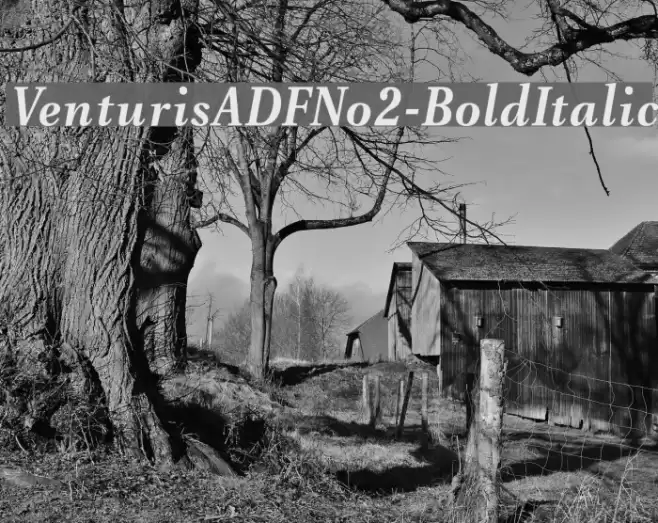 VenturisADFNo2-BoldItalic Font examples