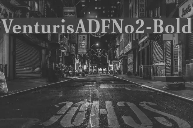 VenturisADFNo2-Bold Font examples