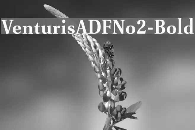 VenturisADFNo2-Bold Font examples