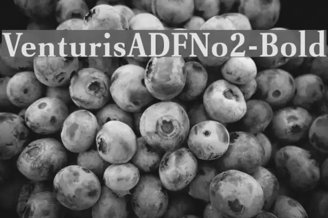 VenturisADFNo2-Bold Font examples