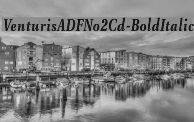 VenturisADFNo2Cd-BoldItalic Font examples