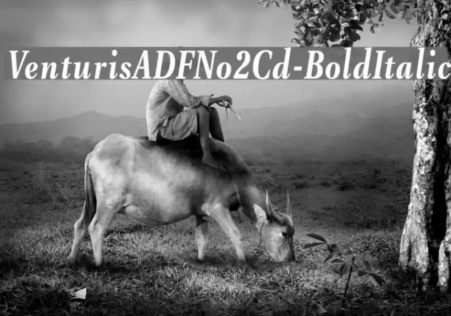 VenturisADFNo2Cd-BoldItalic Font examples
