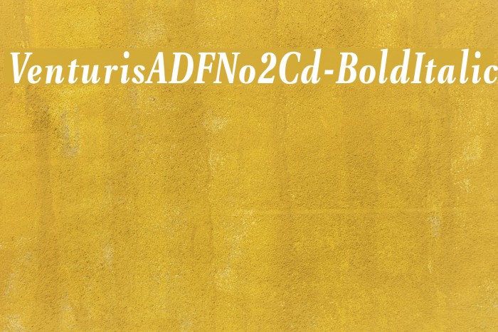 VenturisADFNo2Cd-BoldItalic Font examples