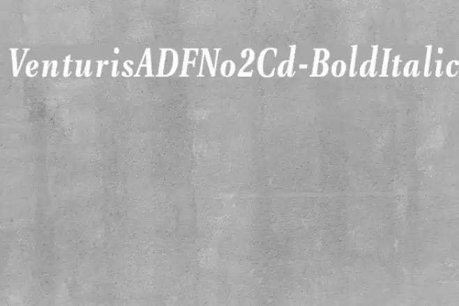 VenturisADFNo2Cd-BoldItalic Font examples