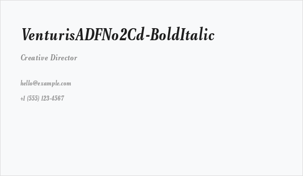VenturisADFNo2Cd-BoldItalic Business Card